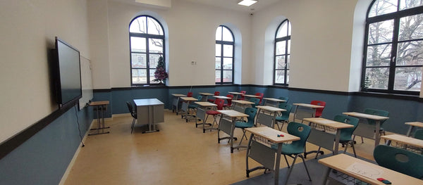 Proiecte realizate de noi